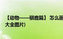 【动物——驯鹿篇】 怎么画驯鹿简笔画步骤图(简笔画驯鹿大全图片)