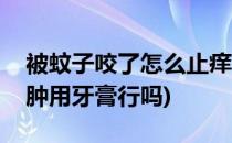 被蚊子咬了怎么止痒(被蚊子咬了怎么止痒消肿用牙膏行吗)