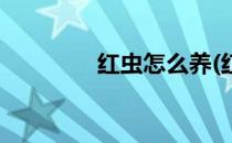 红虫怎么养(红虫怎么养殖)