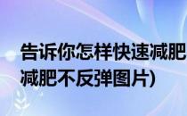 告诉你怎样快速减肥不反弹(告诉你怎样快速减肥不反弹图片)