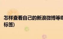怎样查看自己的新浪微博等级(怎样查看自己的新浪微博等级标签)