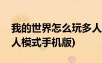 我的世界怎么玩多人模式(我的世界怎么玩多人模式手机版)