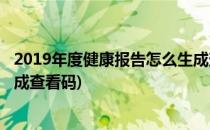 2019年度健康报告怎么生成查看(2019年度健康报告怎么生成查看码)