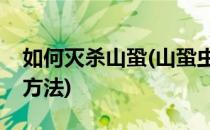 如何灭杀山蛩(山蛩虫怎么消灭山蛩虫的根除方法)