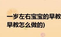 一岁左右宝宝的早教怎么做(一岁左右宝宝的早教怎么做的)