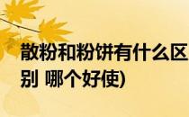 散粉和粉饼有什么区别(散粉和粉饼有什么区别 哪个好使)