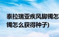 泰拉瑞亚疾风脚镯怎么获得(泰拉瑞亚疾风脚镯怎么获得种子)