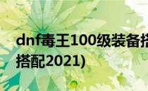 dnf毒王100级装备搭配(dnf毒王100级装备搭配2021)