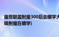 魔兽联盟附魔300后去哪学大师级附魔在哪学(魔兽世界大师级附魔在哪学)