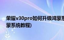 荣耀v30pro如何升级鸿蒙系统呢(荣耀v30pro怎么升级鸿蒙系统教程)