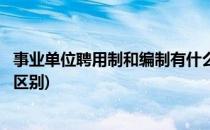 事业单位聘用制和编制有什么区别(事业单位编制和聘用制的区别)
