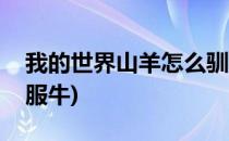我的世界山羊怎么驯服(我的世界山羊怎么驯服牛)