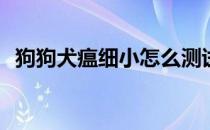 狗狗犬瘟细小怎么测试(如何测试犬瘟细小)