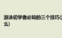 游泳初学者必知的三个技巧(游泳初学者必知的三个技巧是什么)