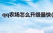 qq农场怎么升级最快(qq农场怎样升级最快)