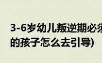 3-6岁幼儿叛逆期必须知道的事(3-6岁叛逆期的孩子怎么去引导)