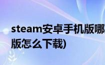 steam安卓手机版哪里下载(steam安卓手机版怎么下载)