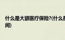 什么是大额医疗保险?(什么是大额医疗保险有效期是多长时间)