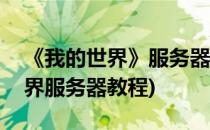 《我的世界》服务器教程 1服务器ip(我的世界服务器教程)
