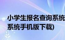 小学生报名查询系统手机版(小学生报名查询系统手机版下载)