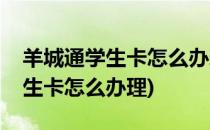 羊城通学生卡怎么办理(港籍小学生羊城通学生卡怎么办理)