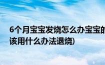 6个月宝宝发烧怎么办宝宝的退烧方法(6个月半的宝宝发烧该用什么办法退烧)