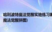 哈利波特魔法觉醒实地练习黑魔法防御术拼图攻略(哈利波特魔法觉醒拼图)