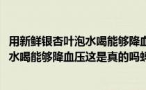 用新鲜银杏叶泡水喝能够降血压这是真的吗(用新鲜银杏叶泡水喝能够降血压这是真的吗蚂蚁庄园)