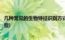 几种常见的生物特征识别方式(常见的生物特征识别技术有哪些)