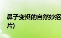 鼻子变挺的自然妙招(鼻子变挺的自然妙招图片)