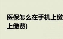 医保怎么在手机上缴费(农村医保怎么在手机上缴费)