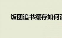 饭团追书缓存如何清理(小白追书闪退)