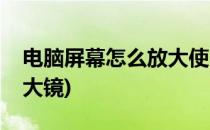 电脑屏幕怎么放大使用放大镜(电脑怎么调放大镜)
