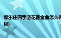 摩尔庄园手游花香金鱼怎么做(摩尔庄园手游花香金鱼菜谱火候)