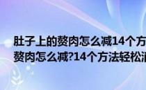 肚子上的赘肉怎么减14个方法轻松消除腰腹赘肉(肚子上的赘肉怎么减?14个方法轻松消除腰腹赘肉疼痛)