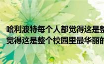 哈利波特每个人都觉得这是整个校园最华丽的房间(每个人都觉得这是整个校园里最华丽的房间哈利波特)