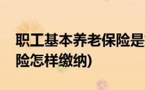职工基本养老保险是如何缴纳的(职工养老保险怎样缴纳)