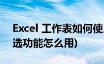 Excel 工作表如何使用筛选功能(工作表的筛选功能怎么用)