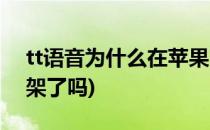 tt语音为什么在苹果商店下架了(tt语音被下架了吗)