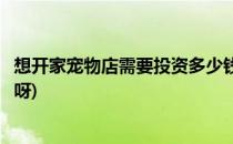 想开家宠物店需要投资多少钱(想开家宠物店需要投资多少钱呀)