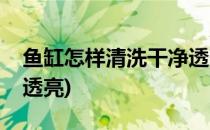 鱼缸怎样清洗干净透亮(鱼缸怎样清洗的干净透亮)