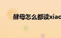 酵母怎么都读xiao(酵母到底怎么读)