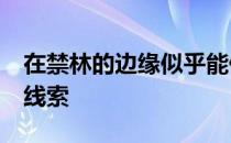 在禁林的边缘似乎能偶尔找到破碎的福..拼图线索