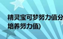 精灵宝可梦努力值分配(新手向)(宝可梦怎么培养努力值)
