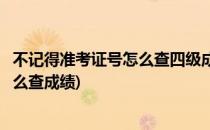 不记得准考证号怎么查四级成绩(四级考试不记得准考证号怎么查成绩)