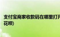 支付宝商家收款码在哪里打开(支付宝商家收款码在哪里打开花呗)