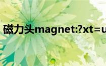 磁力头magnet:?xt=urn:btih:链接使用方法