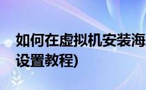如何在虚拟机安装海蜘蛛路由(海蜘蛛路由器设置教程)