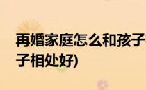 再婚家庭怎么和孩子相处(再婚家庭怎么和孩子相处好)