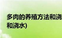 多肉的养殖方法和浇水(浆果多肉的养殖方法和浇水)